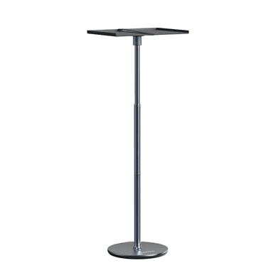 Wanbo Floor Stand Pro